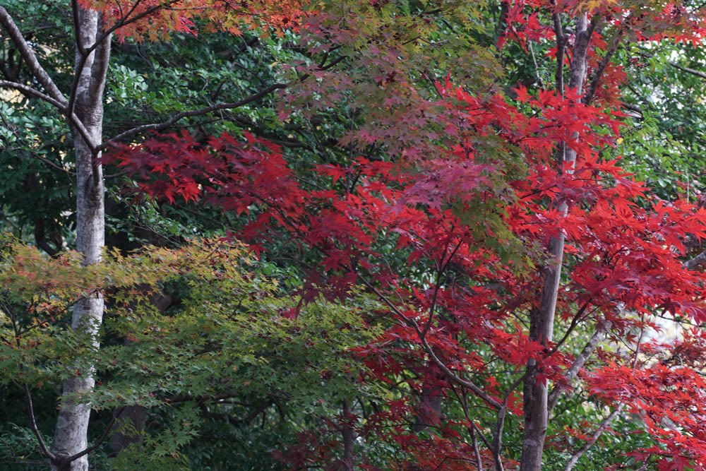 a0324049_21392873.jpg