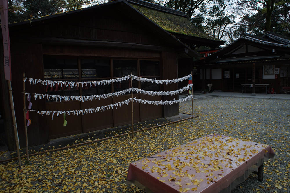 a0324049_21415560.jpg