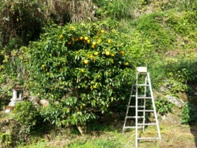 c0330749_17152619.jpg