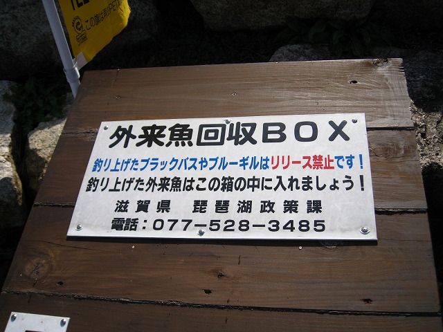 d0048350_10324699.jpg