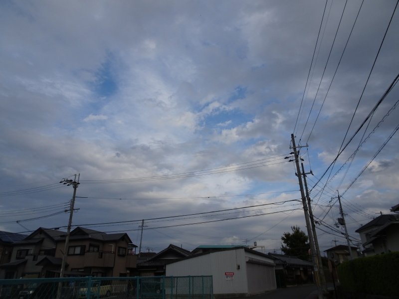 コウノトリ追っかけ第14日目・・・岬町：「宇度墓古墳の堀」_c0108460_17162332.jpg