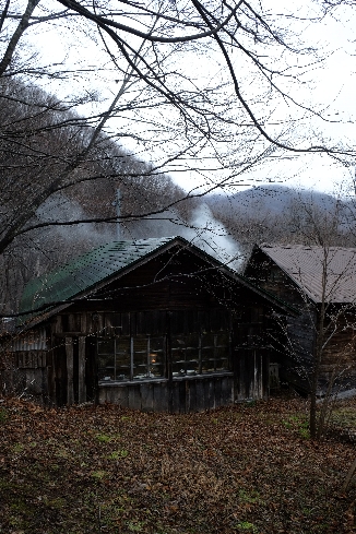 f0035962_1026971.jpg