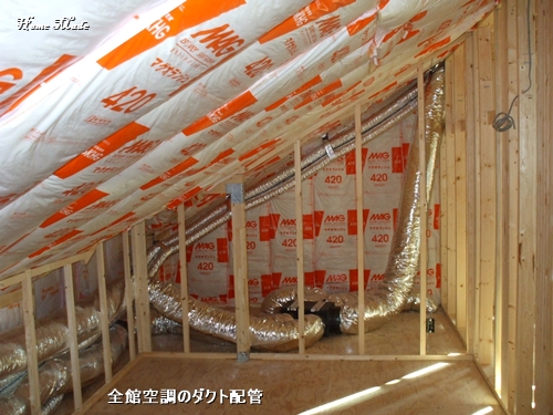 c0108065_1255981.jpg