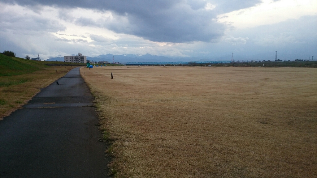 12月1日   神通川河川敷_f0223068_17052903.jpg