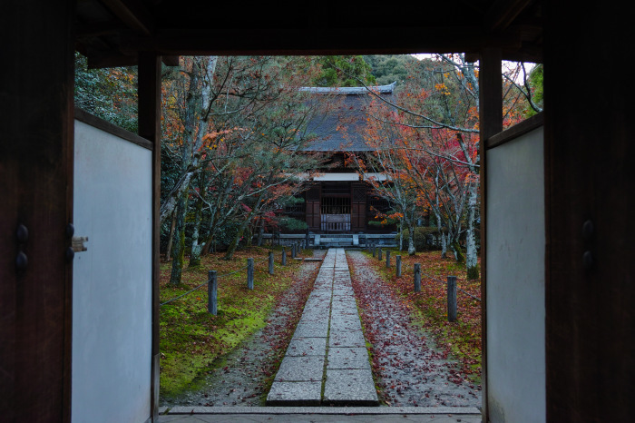 紅葉　一休寺　2016　_f0021869_00053995.jpg