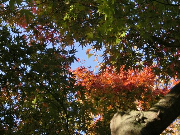 b0244372_9565048.jpg