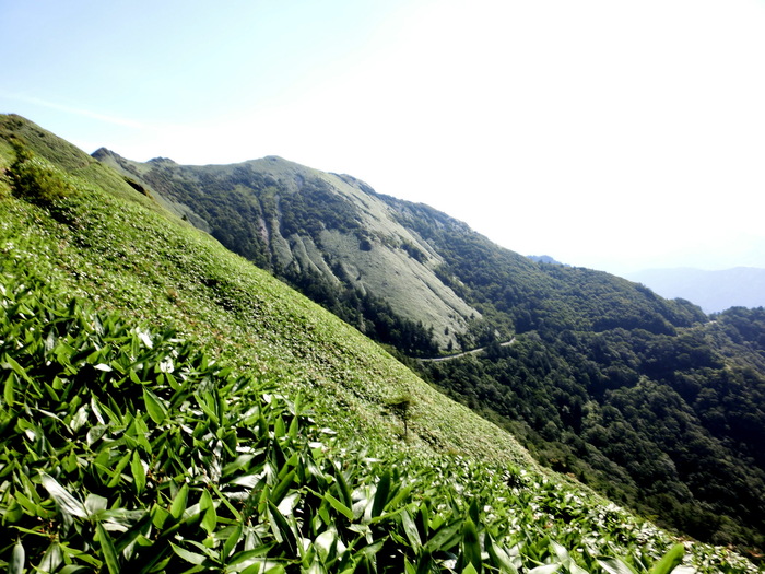 b0185573_15542186.jpg