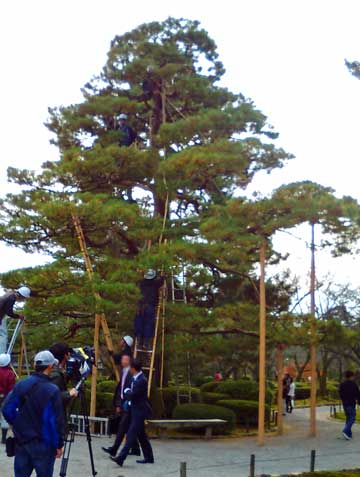 f0083977_2246295.jpg