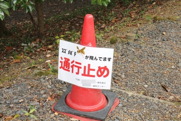 c0283778_10344563.jpg