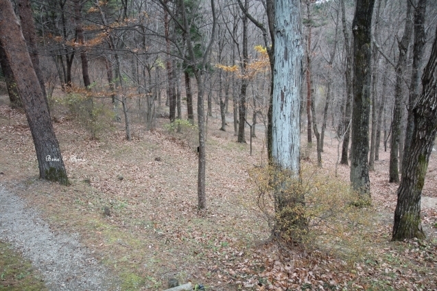c0283778_10371888.jpg