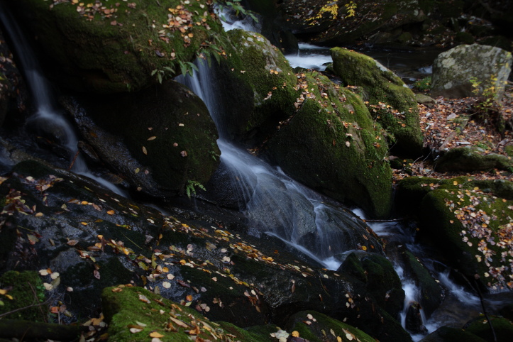 e0165983_1794995.jpg