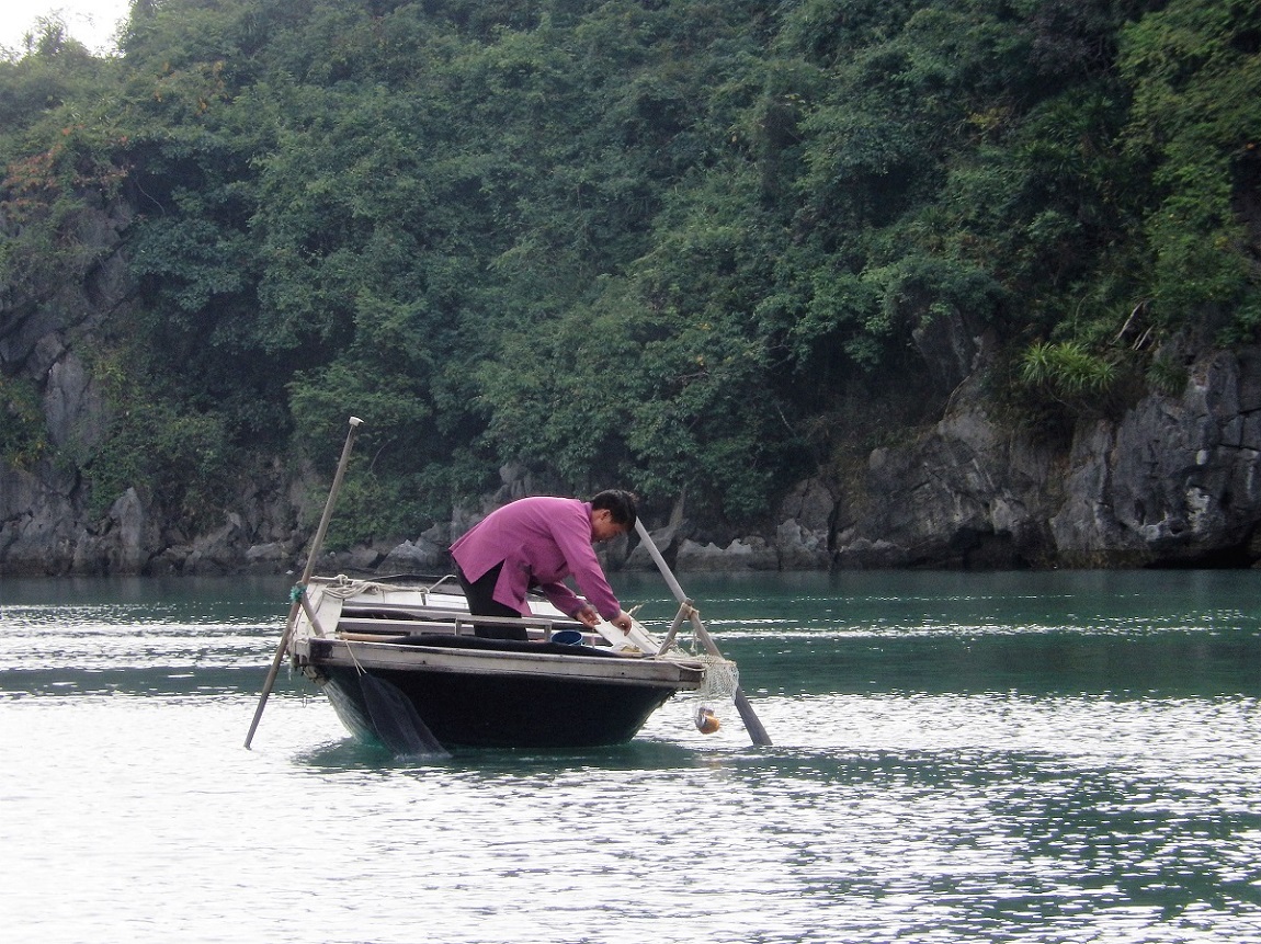 ベトナムの旅⑤ハロン湾・ハノイ・復路（2016.11.17~18）_e0320083_21491427.jpg