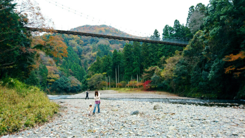 Árboles de Navidad〜松ぼっツリー〜_d0156386_13101817.jpg