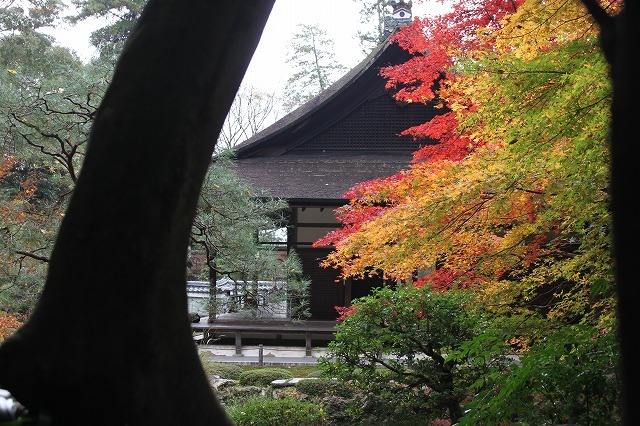 京都の秋　南禅寺　南禅院_f0374092_22592769.jpg