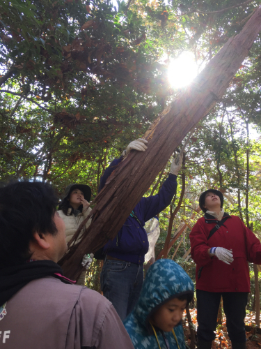 大柿いきもの調査隊…やっぱり豚汁でしょう。11月編_d0266698_01462919.jpg