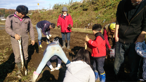 大柿いきもの調査隊…やっぱり豚汁でしょう。11月編_d0266698_01463183.jpg