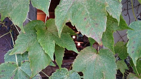 b0205703_1952049.jpg