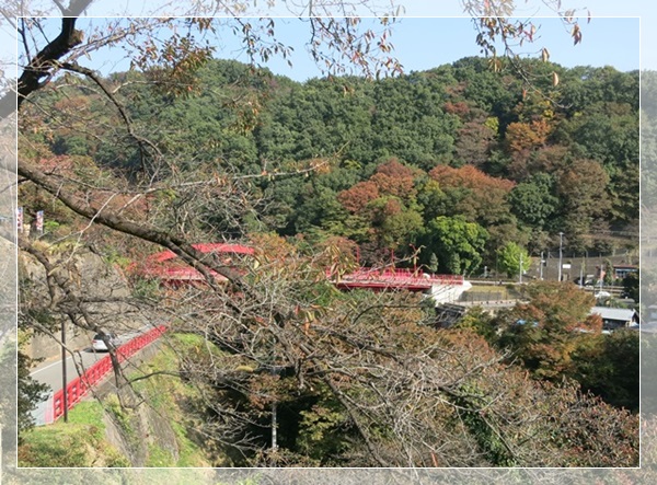 d0028304_10593342.jpg