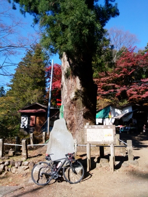 b0040606_2225142.jpg