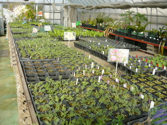a0139007_17484599.jpg