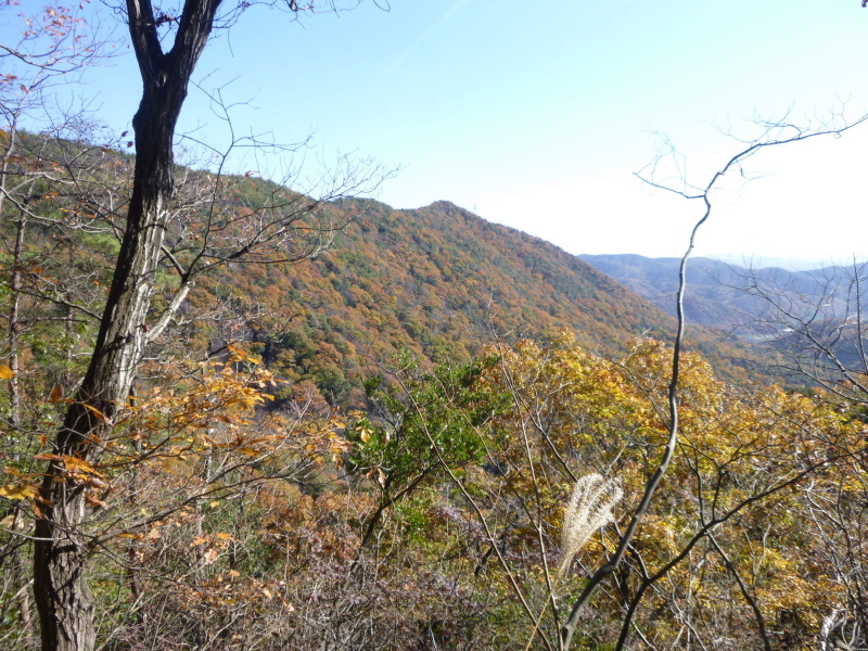 今日のお気に入り写真　金毘羅山 (383M)・明王山(380M) に登る_d0170615_19185353.jpg