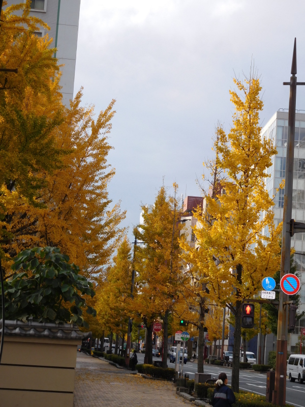 a0125419_06040298.jpg