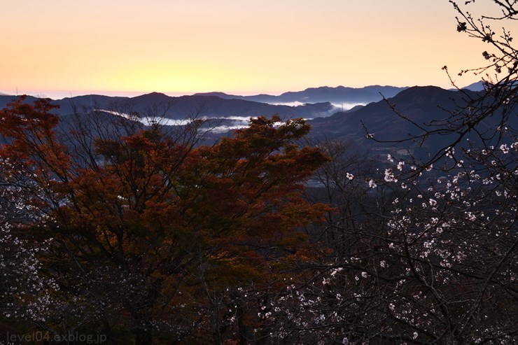 桜山公園 ～紅葉と冬桜～_d0319222_9384376.jpg