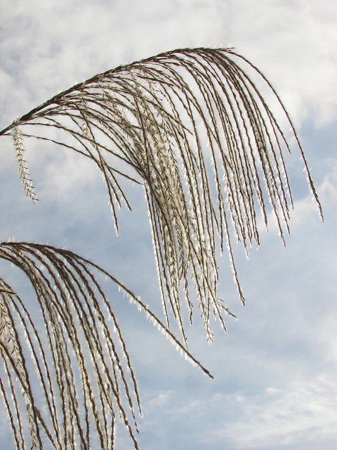 e0321325_15231857.jpg
