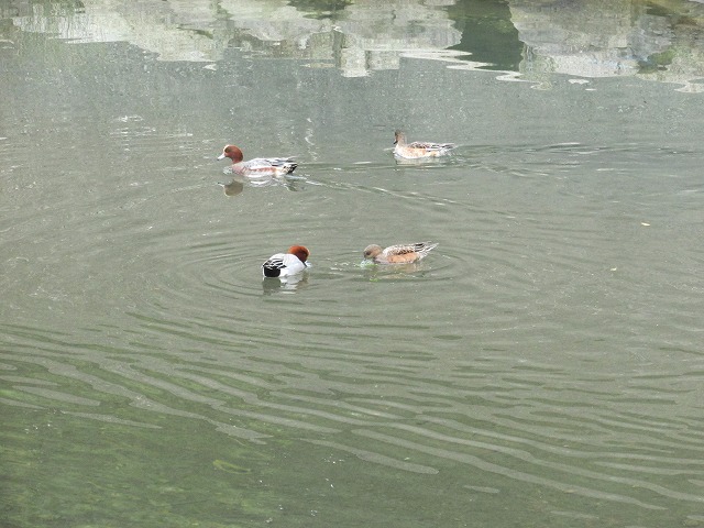 e0321325_15252081.jpg