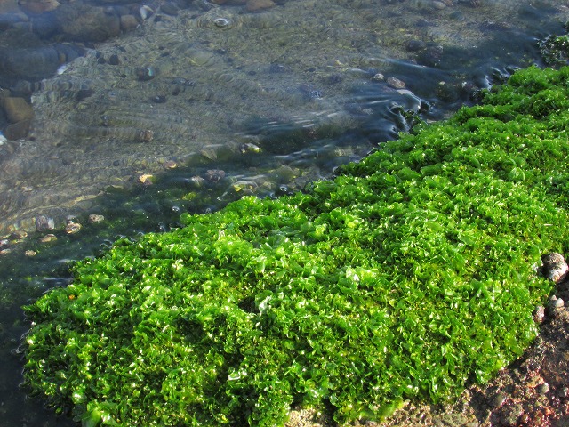 e0321325_15354776.jpg