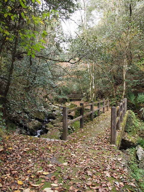 e0303726_04474652.jpg