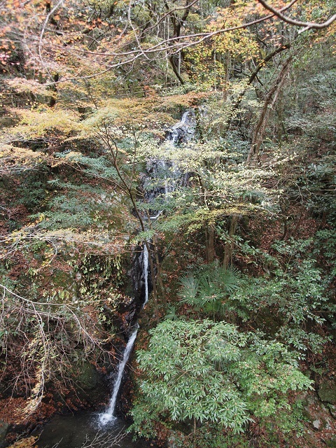 e0303726_17362603.jpg