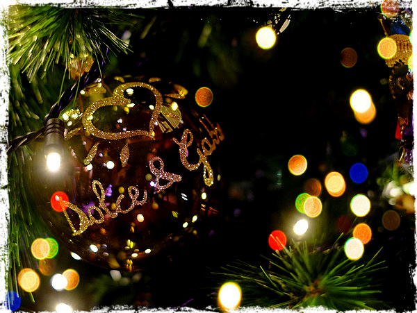 「クリスマスがやってきたー♪今年はドルチェ＆ガッバーナ」_a0000029_72455.jpg