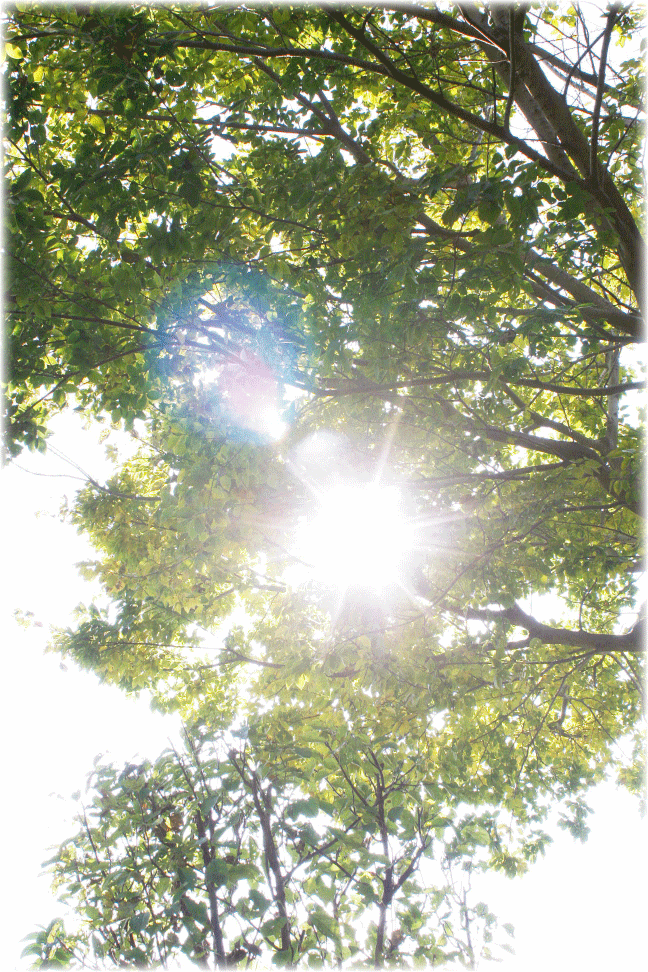 c0107829_10253091.gif