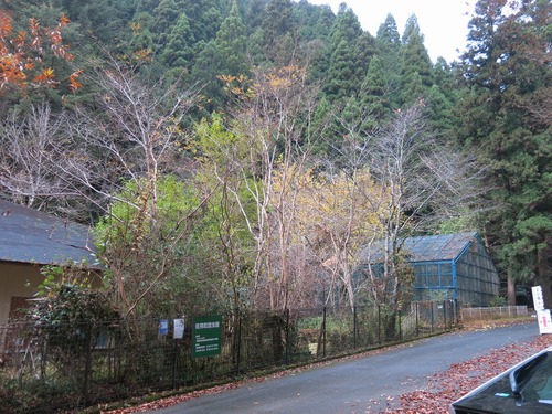 f0177529_2242356.jpg