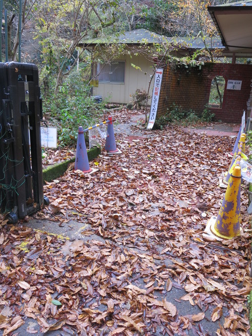 f0177529_2265460.jpg