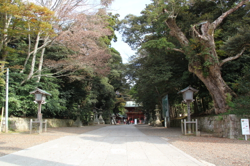 e0166032_17012917.jpg