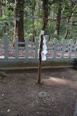 e0166032_17294880.jpg