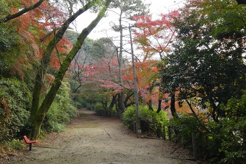 小牧山散策_b0286737_07055475.jpg