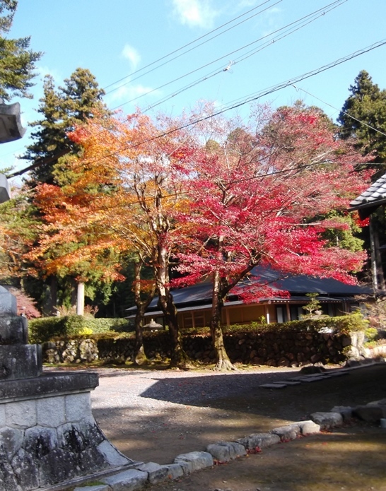c0051938_10272095.jpg