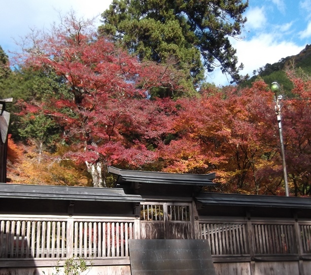 c0051938_10510417.jpg
