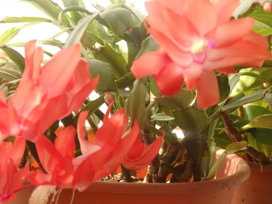 a0054240_213031.jpg
