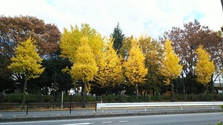 b0080342_08554702.jpg