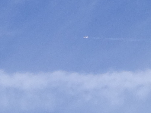 c0264343_22595125.jpg