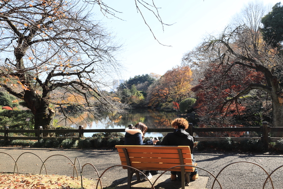 新宿御苑の紅葉を撮影してきました。_a0161745_22275197.jpg