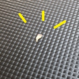 f0372445_17055285.jpg