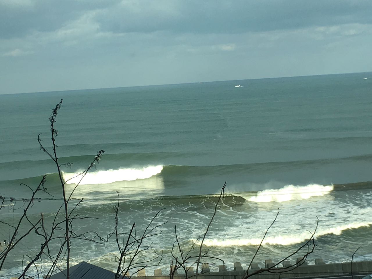c0254151_2251627.jpg