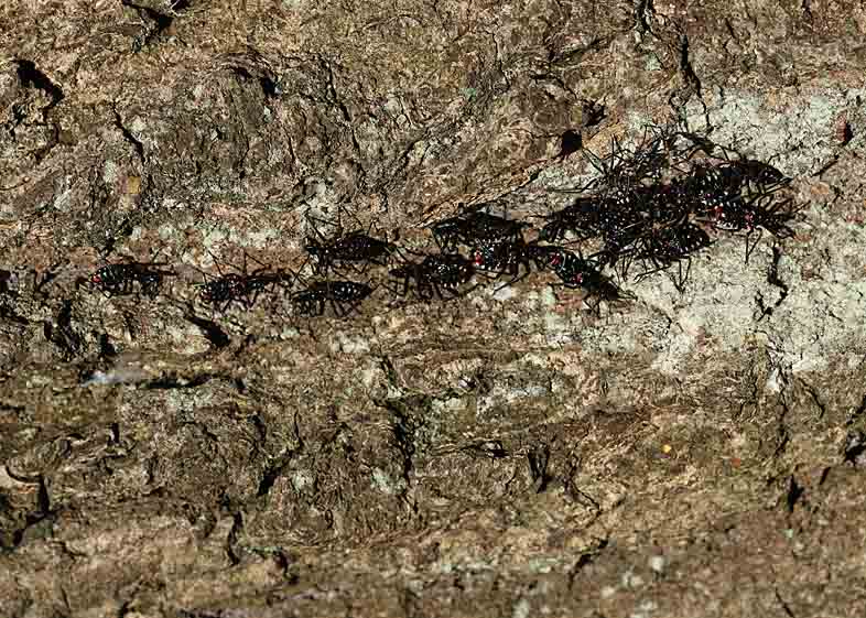 d0146854_2213341.jpg