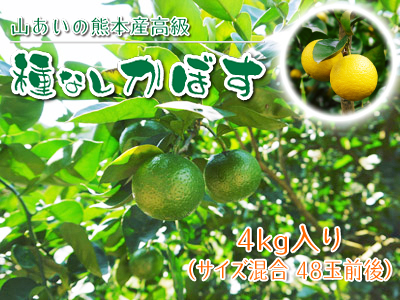 種なしかぼす　香り際立つ色づいた“ゴールド”種なしかぼすを大好評販売中！ご注文はお急ぎ下さい！_a0254656_181747.jpg