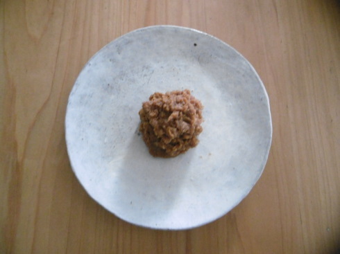 来年2月のお味噌作りの会（１）_c0326859_19382790.jpg
